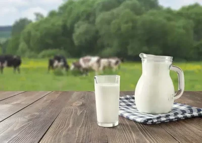 Lácteos